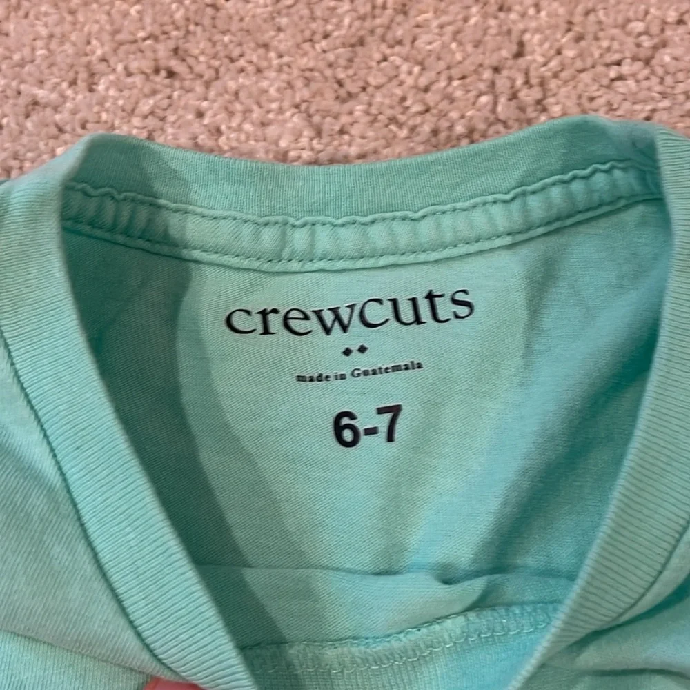 Crew cuts by J. Crew set of two tee shirts, size 6-7